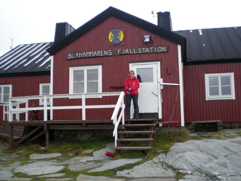 2009a (1)