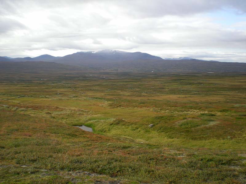 2009a (3)