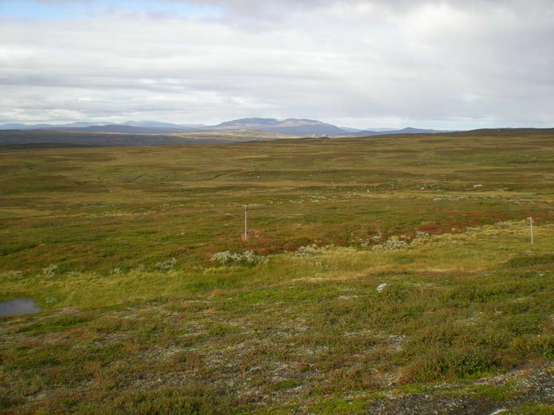 2009a (4)