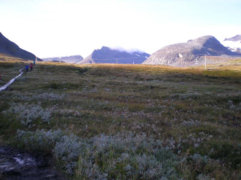 2009a (8)
