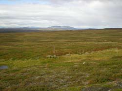 2009a (4)