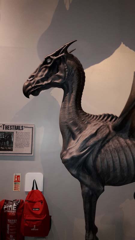 Potter_museum (31)