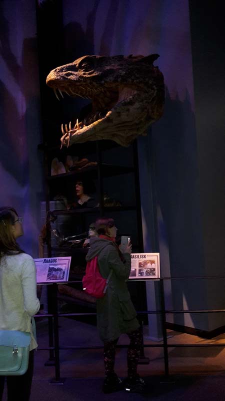 Potter_museum (33)