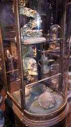 Potter_museum (17)