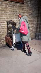 Potter_museum (20)