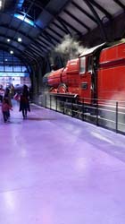 Potter_museum (21)