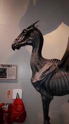 Potter_museum (31)