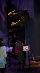Potter_museum (33)