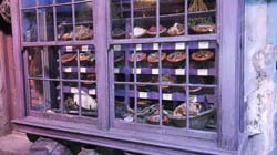 Potter_museum (34)