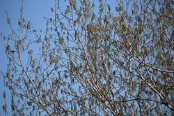 05_hangen