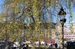 06_kungstradgarden